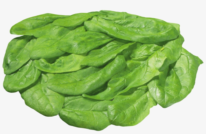 Green Salad Png Image - Piece Of Lettuce Transparent, transparent png download