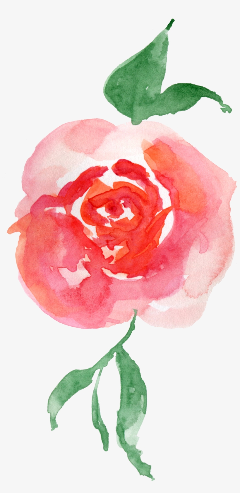 Watercolour - Eleville 8x10 Let The Peace Of Christ Rule In Your, transparent png download