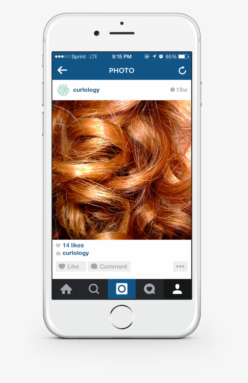 Student Work, Spring, transparent png download