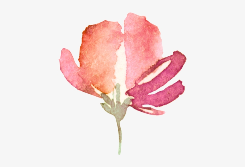 Garden Roses, transparent png download