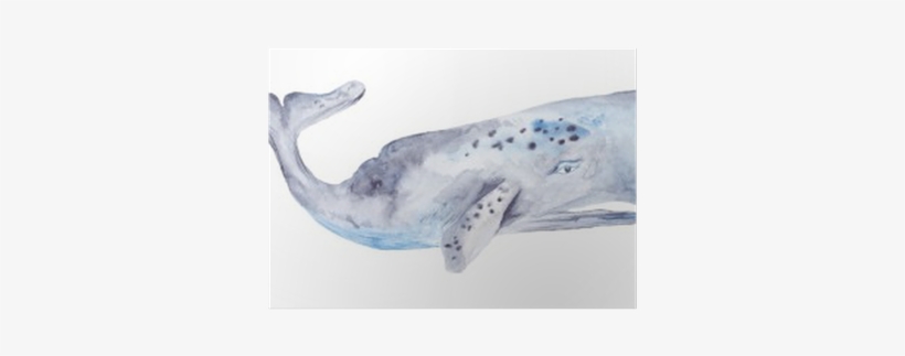 Art Print: Kisika's Watercolor Illustration With Whales, transparent png download