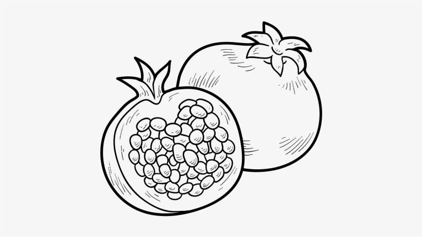 Download Pomegranate Drawing At Getdrawings - Colouring Pictures Of