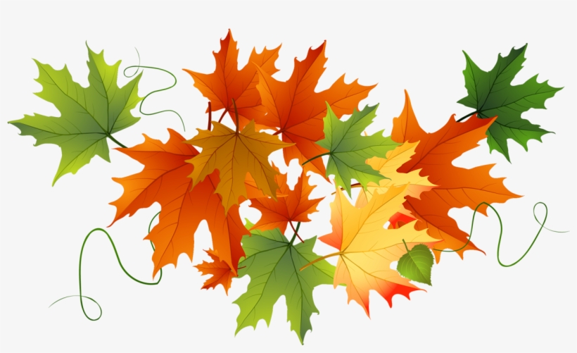 Free Library Autumn Transparent Gallery Yopriceville - Autumn Leaves Transparent Background, transparent png download