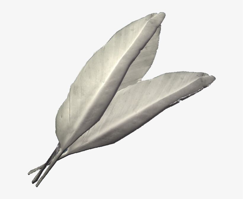 Felsaad Tern Feathers - Skyrim Felsaad Tern Feathers, transparent png download