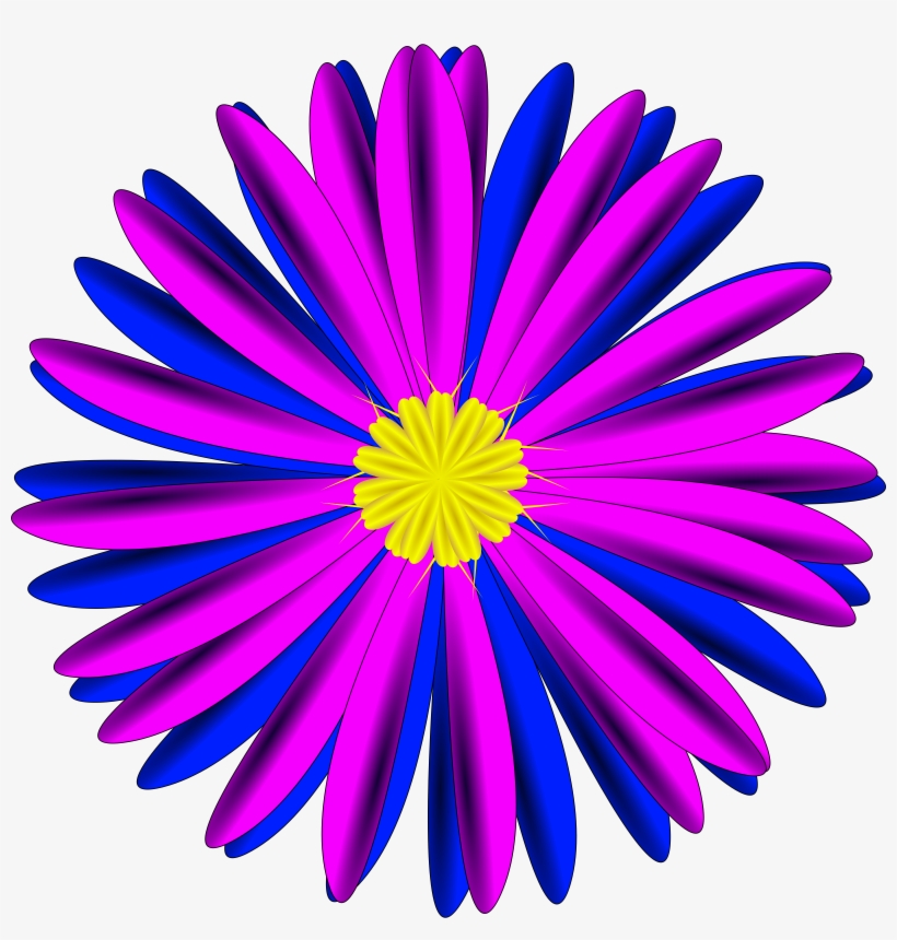 Blue Flower Clipart Pink Flower - Pink And Blue Flower, transparent png download