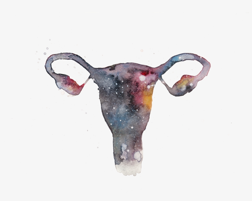 The Uterverse Watercolor - Woman, transparent png download