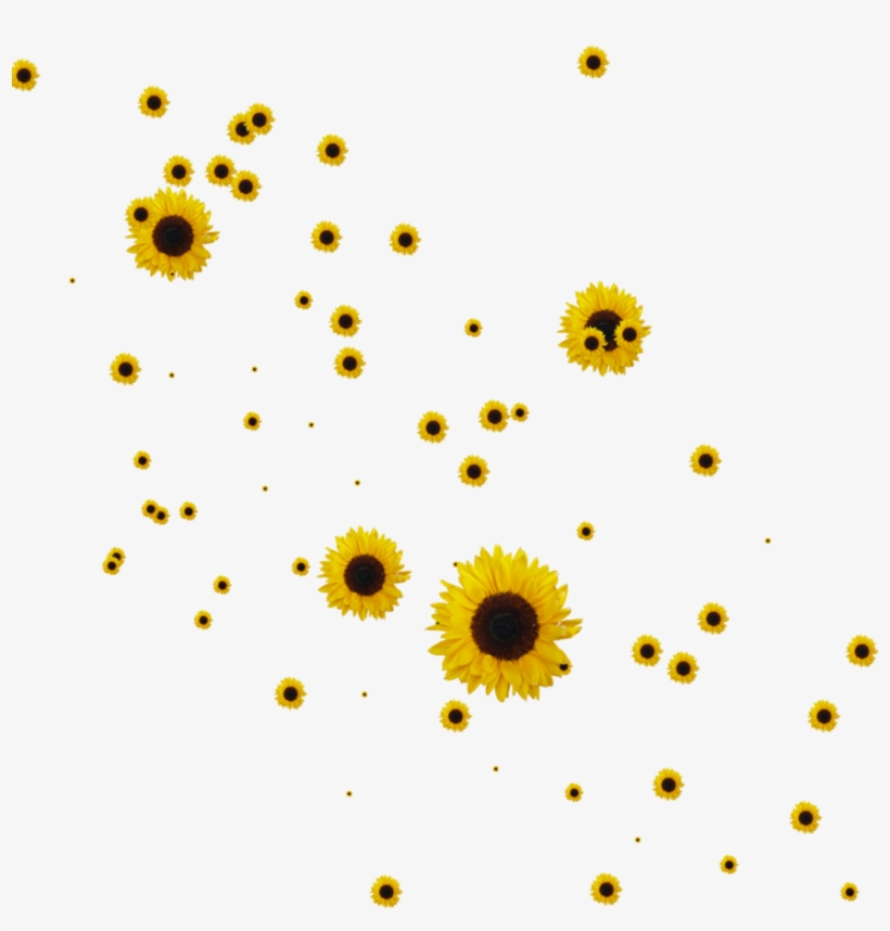 Free Icons Png - Sunflowers Png, transparent png download