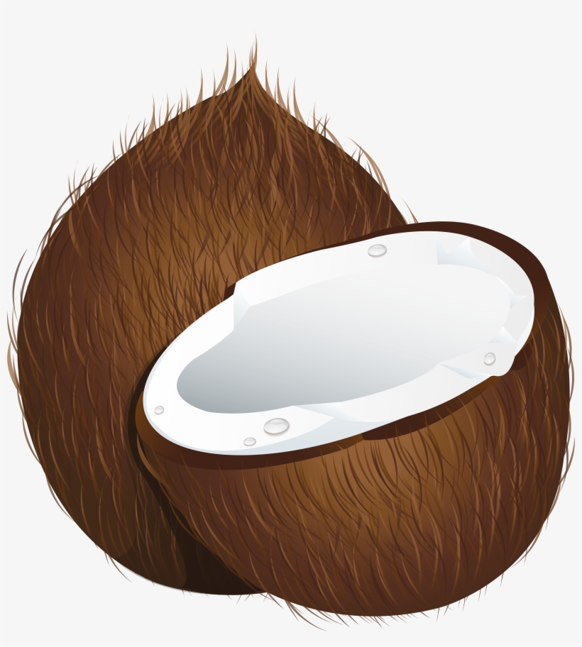 Coconut, transparent png download