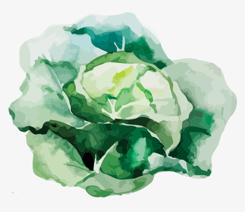 Onion Png, transparent png download