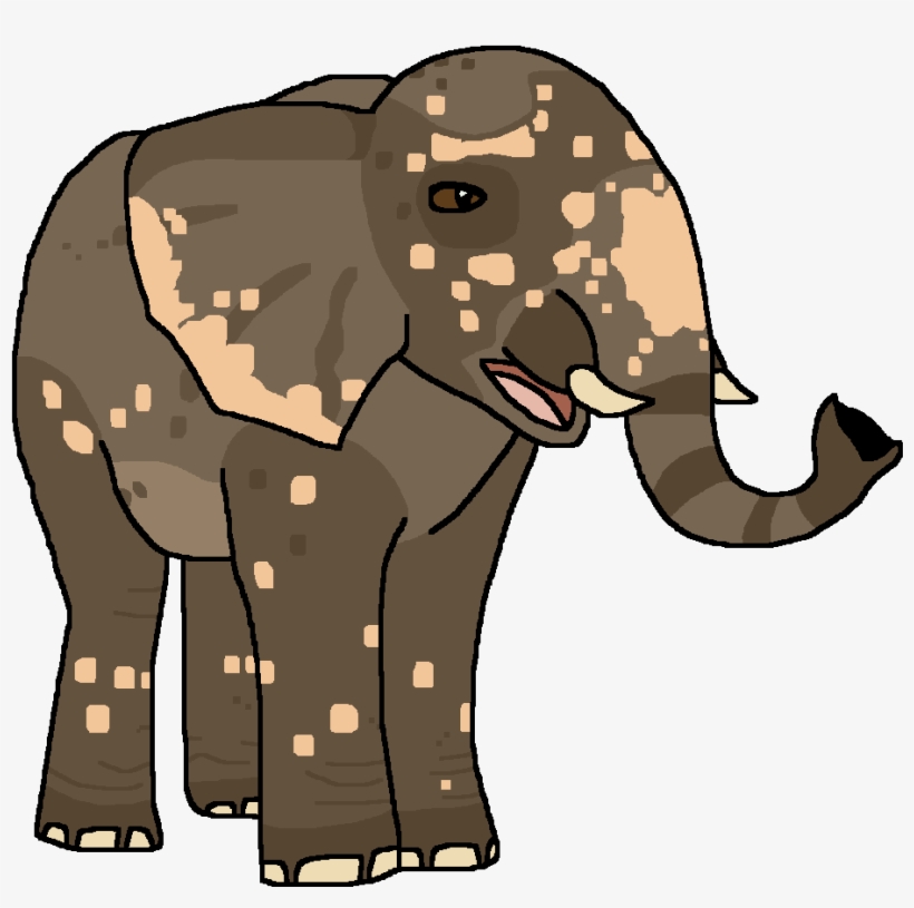 Indian Elephant - Wiki, transparent png download