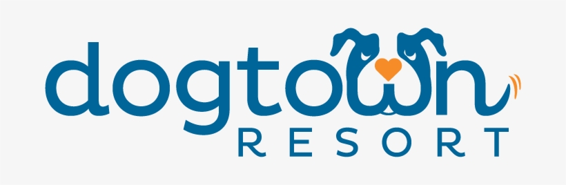 Live - Dog Daycare, transparent png download