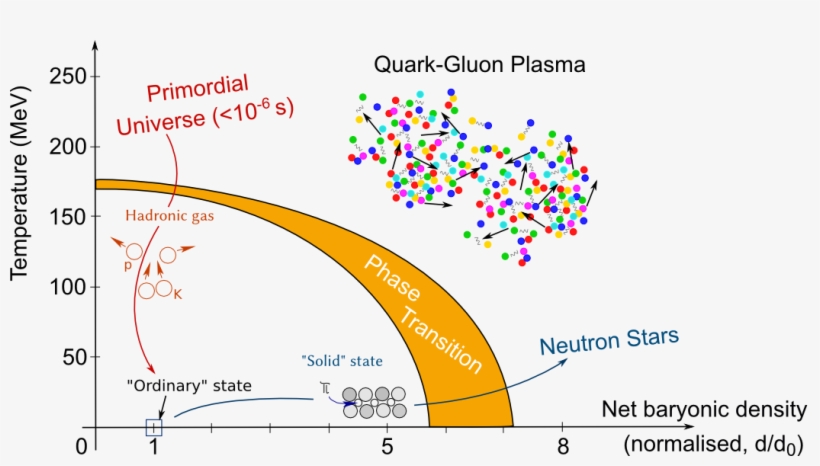 Png, Svg - Phase Diagram Of Qcd, transparent png download
