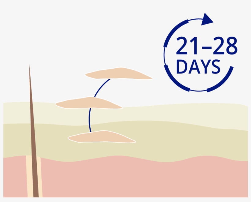 If You Have Psoriasis, This Process Is Dramatically - Ichthyosis, transparent png download