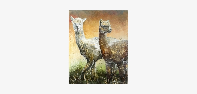 Alpacas - Llama, transparent png download