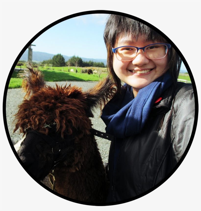 My - Llama, transparent png download