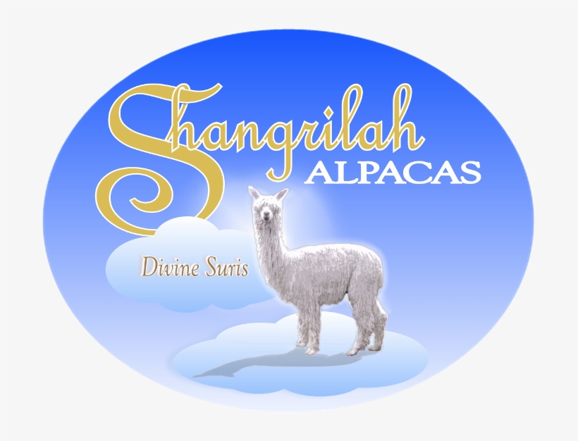 Shangrilah Alpacas Logo - Shangrilah Alpacas, transparent png download
