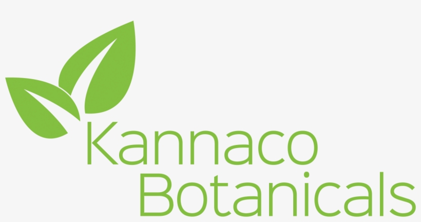 Act, transparent png download