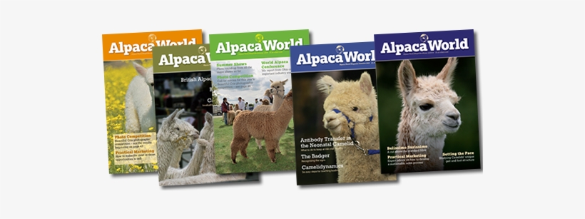 Alpaca World Magazine, transparent png download
