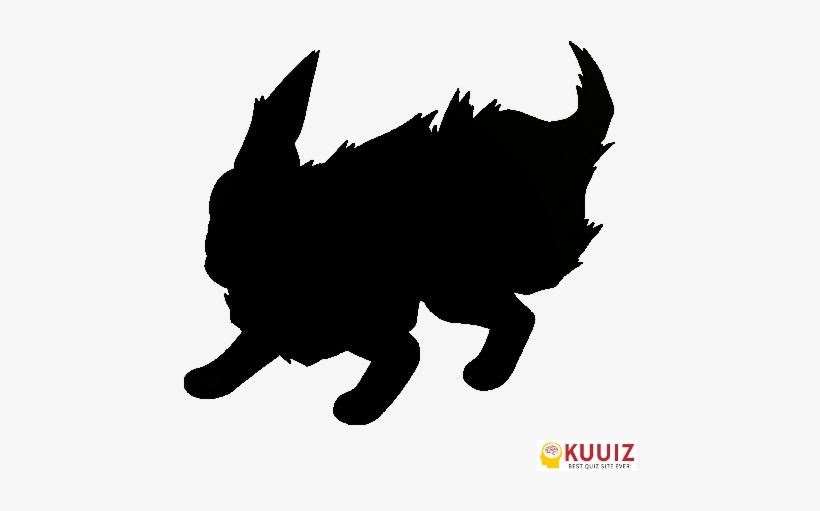 Flareon - Whos That Pokemon Flareon, transparent png download