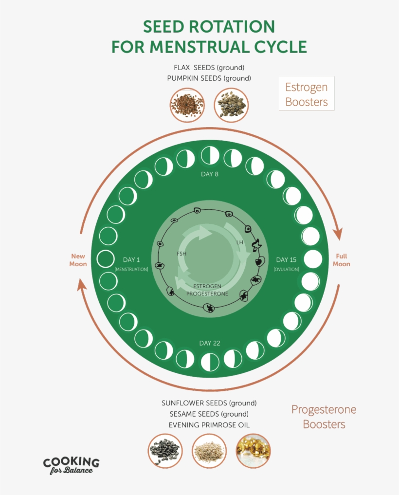 What - Seed Cycling, transparent png download