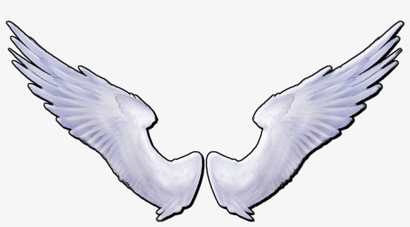 Alas Png, transparent png download