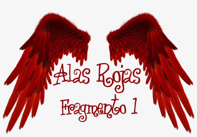 Alas Rojas - Lillian Too And Jennifer Too Fortune And Feng Shui, transparent png download