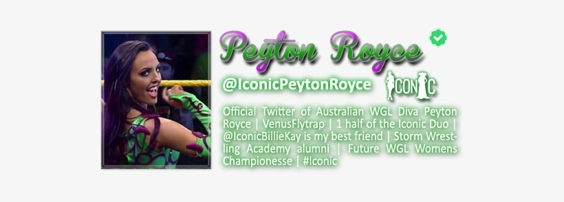 Peytontwit2dxs4n - Twitter, transparent png download