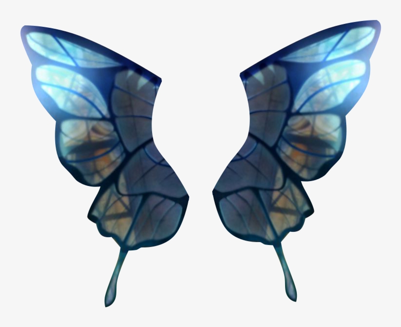 Swallowtail Butterfly, transparent png download