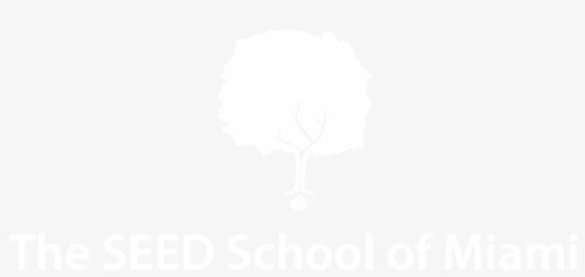 Seed Of Life Png, transparent png download