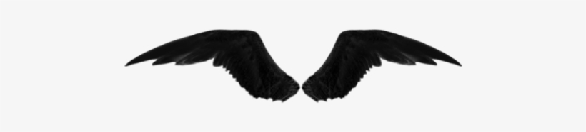 Tienen Alas Png Blancas O Negras O Si Pueden Me Pasan - Eagle, transparent png download