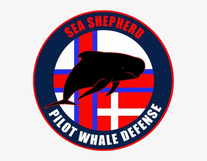Pilot Whale Defense Campaign - Sea Shepherd Operation Bloody Fjords, transparent png download