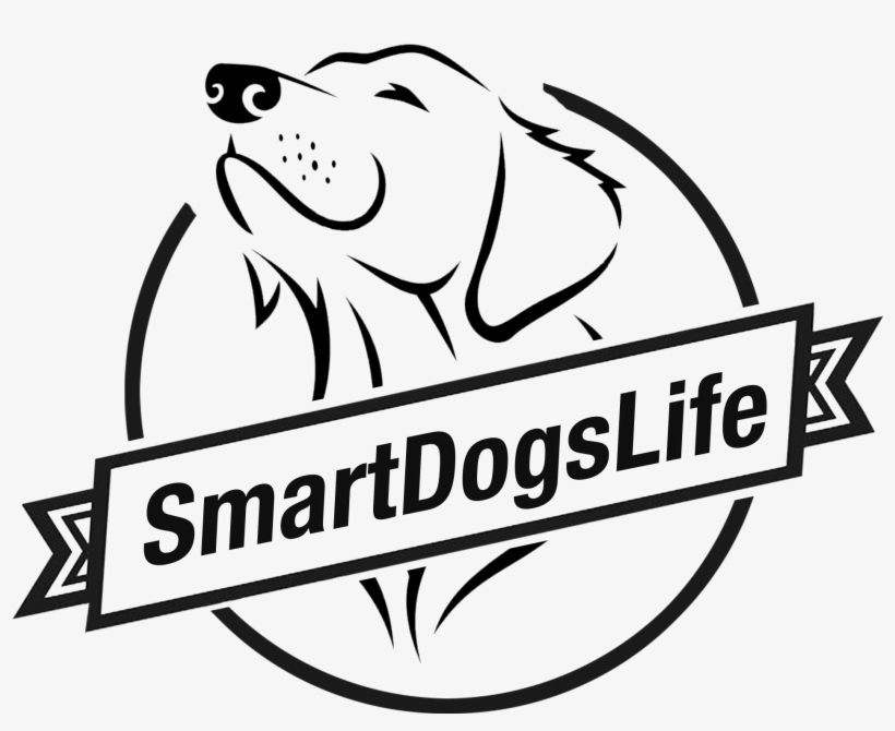 How To Make Your Dogs Life Better And Owners Life Easier - Dog, transparent png download