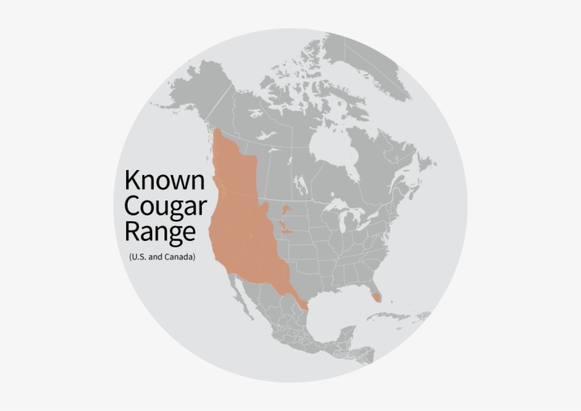 Known Cougar Range - Map Of Cougars In North America, transparent png download