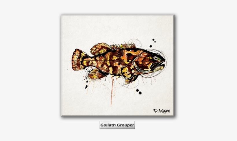 My Works Try And Grasp Those Last Few Moments Of Anticipation - Cichla, transparent png download