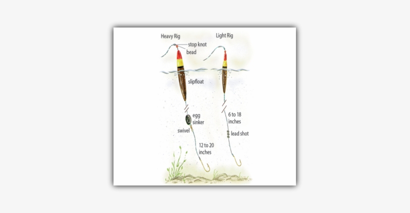 Walleye Slip Bobber Madness - Fish Hook, transparent png download