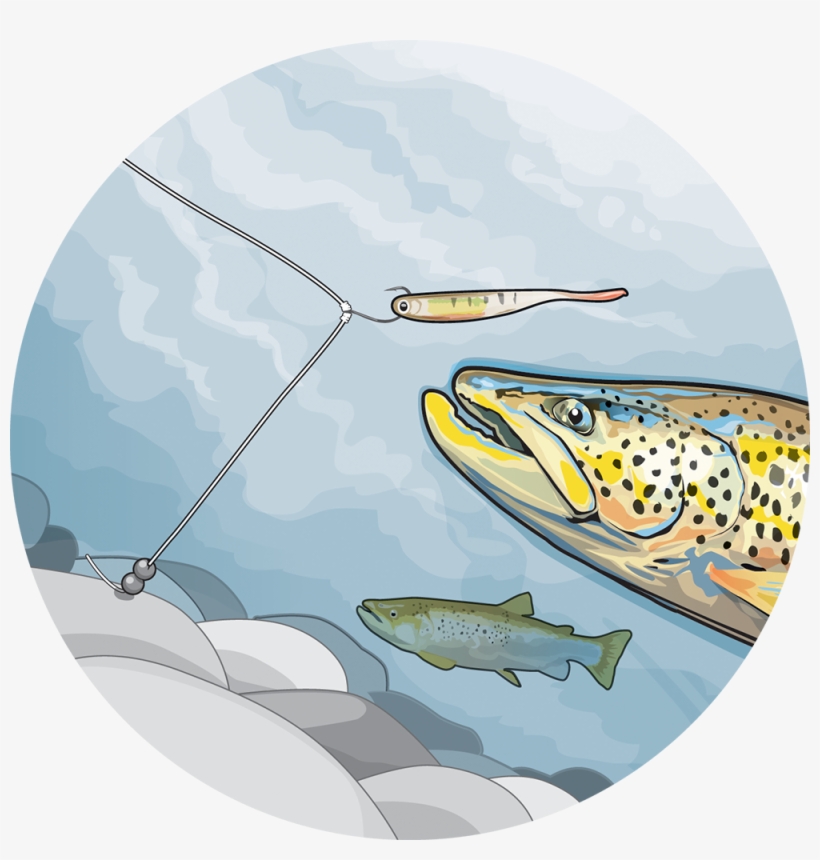 Trout Going For Soft Bait Illustration - Soft Plastics For Trout, transparent png download