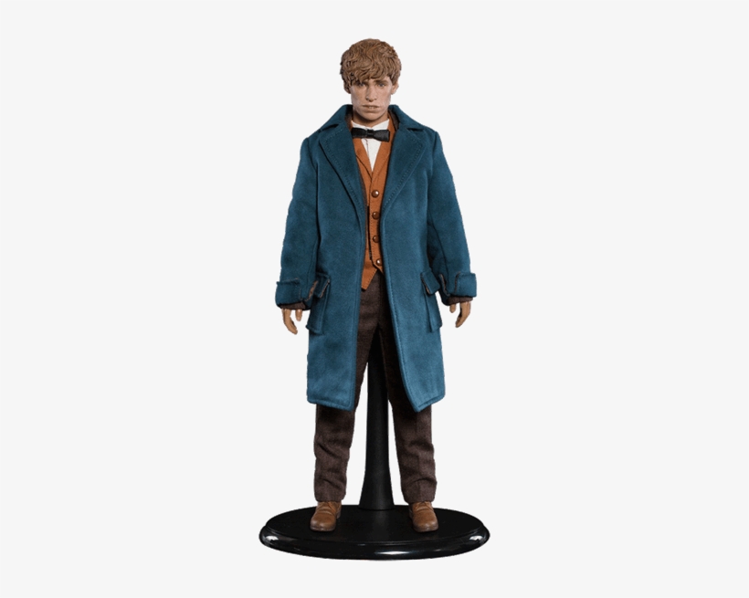 Fantastic Beasts Newt Scamander 1/6 Scale Figure - 1/6 Scale Fantastic Beasts, transparent png download