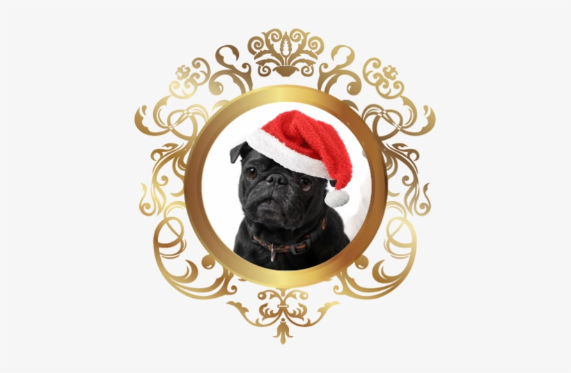 Pug With Gold Swirls Nail Art - Pug Present Rectangle Magnet, transparent png download