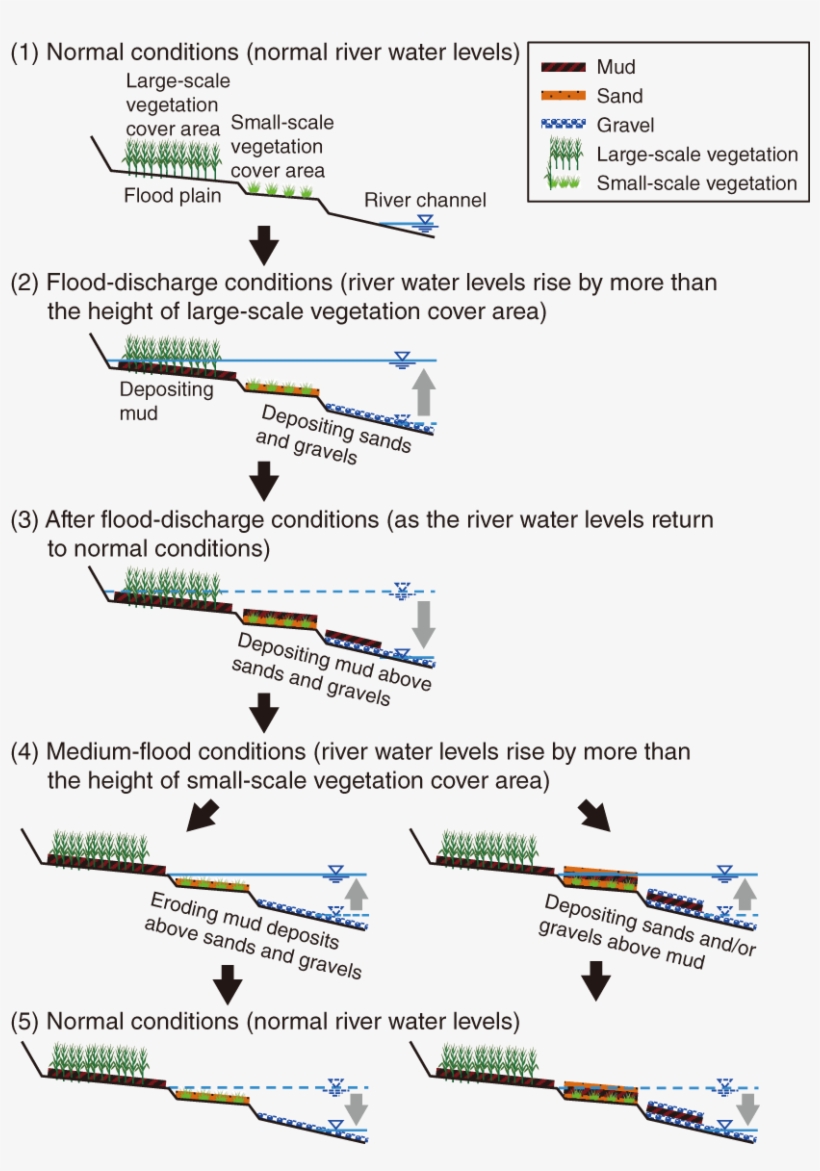 1-34 Conceptual Model For The Redeposition And Transport - Conceptual Model, transparent png download