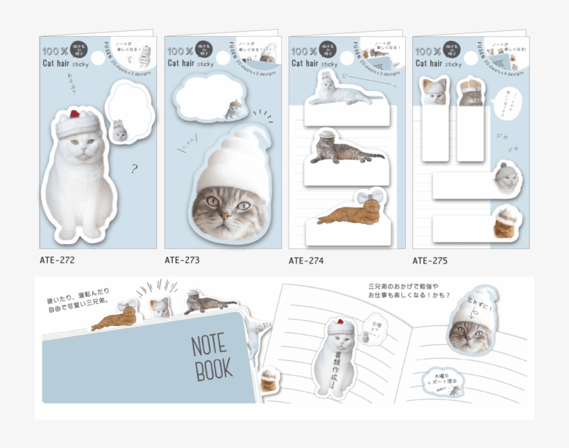 Cat, transparent png download