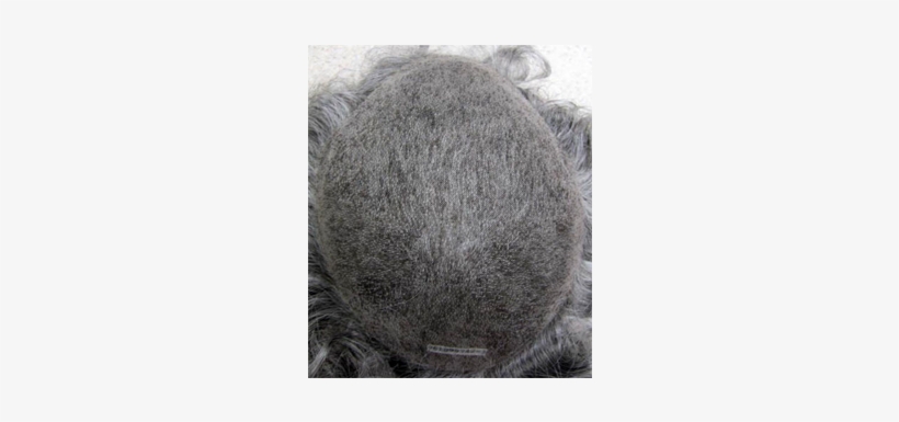 Our Newest Hair System It Is Made Of A Single Layer - Hair Density, transparent png download