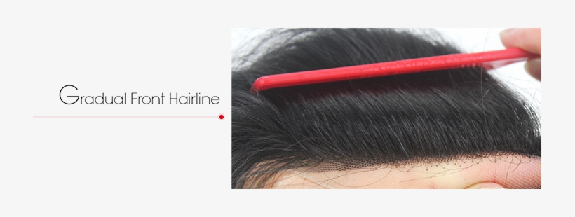 Before Shipment, We Can Help To Cut In And Style The - Lace Wig, transparent png download