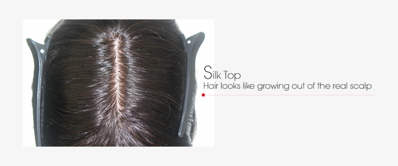 Before Shipment, We Can Help To Cut In And Style The - Lace Wig, transparent png download