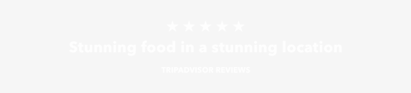 Tripadvisor - Twitter White Icon Png, transparent png download