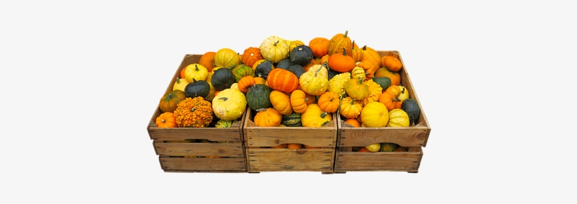 Eat, Food, Harvest, Thanksgiving - Mandarin Orange, transparent png download