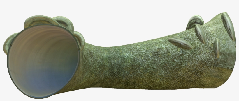 Giant Coral Tubes - Giant Coral Tube Subnautica, transparent png download