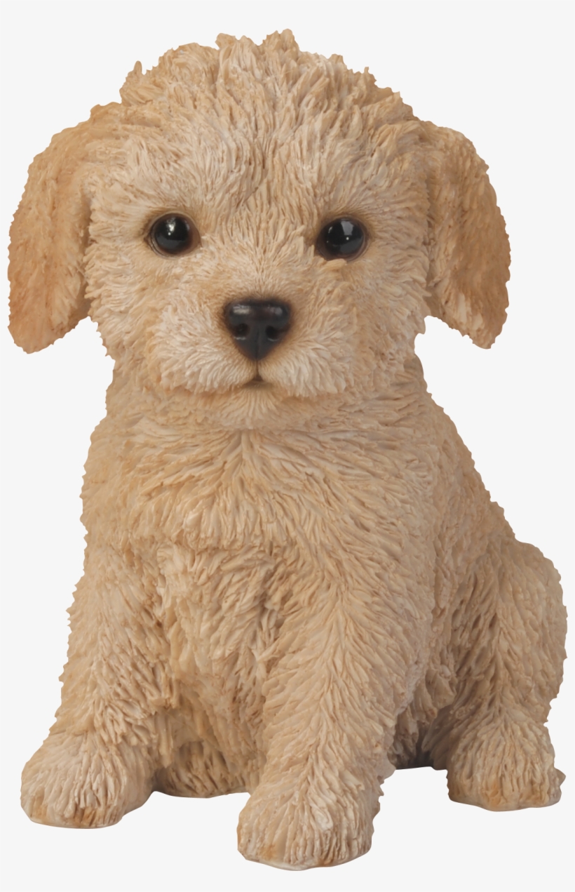 Natures Gallery Labradoodle Puppy Statue - 83497, transparent png download
