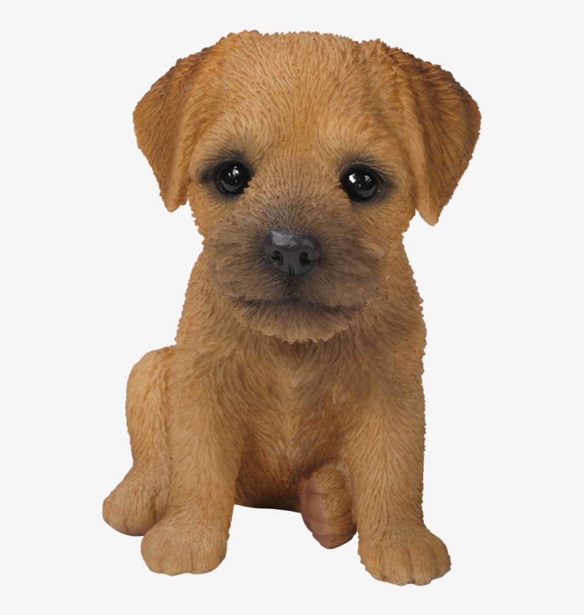 Small Image Of Pet Pals Border Terrier Puppy - Baby Border Terrier Dog, transparent png download