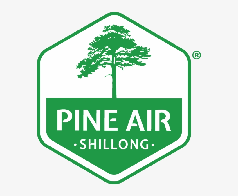 Logo Logo Logo Logo - Pine Air, transparent png download