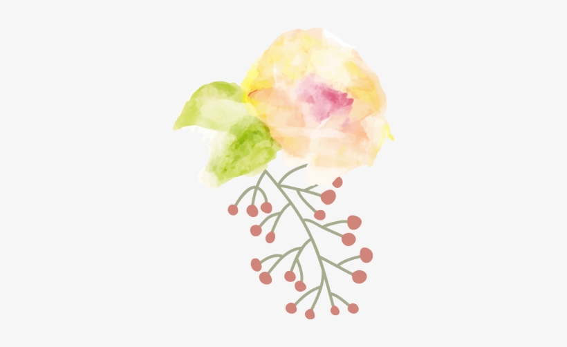 Product Launches, Family Day, Fun Carnivals, Roadshows, - Garden Roses, transparent png download